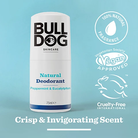 Image 2 - A bottle of Bulldog Skincare natural deodorant featuring a white container with a black label, labeled Natural Deodorant in blue and Peppermint & Eucalyptus below, against a light blue background, with text indicating 100% NATURAL FRAGRANCE, Vegan Approved, and Cruelty-Free International, along with the phrase Crisp & Invigorating Scent.
Image 3 - A collection of star anise and fresh mint leaves arranged on a light blue background with the text 100% Natural Fragrances and Crisp & Invigorating Scent.
Image 4 - A hand holds a stick of Bulldog Natural Deodorant, which is labeled with the brand name, product type, scent description of peppermint and eucalyptus, and includes the text 24 Hour Protection.
Image 5 - A bottle of Bulldog skincare Peppermint and Eucalyptus shower gel and a stick of natural deodorant, both featuring the Bulldog logo, are set against a light blue background; visible text includes Start the Day Right.