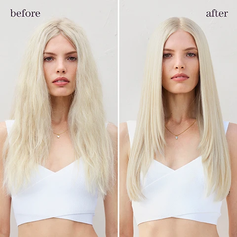 Image 1 - A split image shows a woman with long, wavy hair on the left labeled before and the same woman with long, straight hair on the right labeled after.
Image 2 - The image displays a side-by-side comparison of a woman with curly hair, labeled before on the left and after on the right, showcasing a change in the hair texture and styling; the woman is wearing a white top.
Image 3 - A teal bottle of Pureology Strength Cure Dream Healer Serum is shown against a blue sky background, with text that reads restores up to 99% of original hair strength*, up to 76% reduction in split ends**, and up to 85% reduction of breakage***.
Image 4 - Image showing three segments with different textures and colors: a light blue liquid with bubbles labeled lactic acid, a transparent liquid with droplets labeled amino acid and the text mitigates future breakage, and a white powdery substance with a ribbed texture labeled citric acid, with the title triple-action blend for multi-level repair at the top.
Image 5 - A hand holding a bottle of Pureology Strength Cure Dream Healer Serum with a small amount of product in the palm, set against a soft background with various decorative items, with visible text stating can be used on dry or towel dried hair, warm 1 to 2 pumps in the palm & spread evenly from mid-lengths to ends, do not rinse, style as usual.
Image 6 - Image features three hair care products from Pureology, labeled as part of a strengthening routine, including a blue shampoo bottle, a blue conditioner bottle, and a small blue serum bottle, with strengthening routine at the top and shampoo, condition, and treat beneath each product.
Image 7 - A collage image featuring a green bergamot fruit on a branch, a white jasmine flower, and amber resin with the text fragrance, bergamot, jasmine, and amber.
Image 8 - Image showing a light blue background with white text outlining the benefits of a hair product titled Strength Cure, stating it is best for damaged, color-treated hair, suitable for all hair types and textures, restores up to 99% of original hair strength, and instructions to use the flower bud on the cap to determine the right amount of product, with a small graphic of a flower icon at the bottom.
Image 9 - Image shows three icons with text on a soft blue background: the first icon has a V and states 100% vegan formulas, the second icon depicts bubbles and states 100% sulfate-free formulas, and the third icon shows a droplet of water with the text up to 80+ washes, washes in one bottle, all formulas are highly concentrated meaning less water needed.