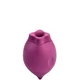 Вакуумный стимулятор Smile Makers The Poet - Powerful Suction Vibrator