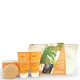 Набор для ухода за волосами weDo/ Professional Discovery Set