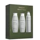 Living Proof Believe in Volume Kit