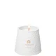 Atkinsons Soho Garden Candle 250g